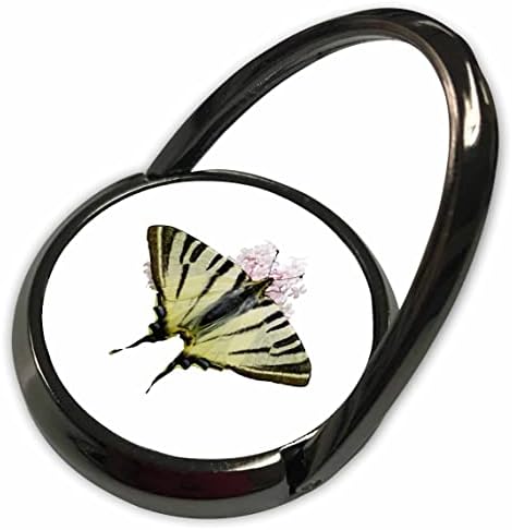 3drose Swallowtail บนดอกไม้กระเทียมป่าตัดออกเป็นสีขาว - แหวนโทรศัพท์