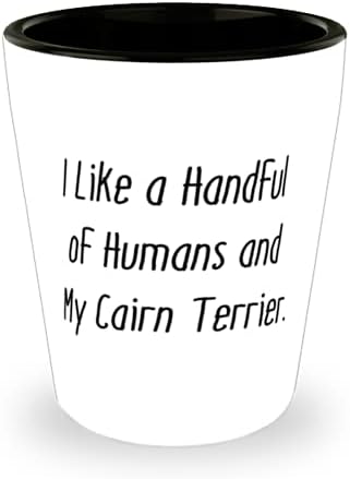 Cairn Terrier Dog สำหรับคนรักสัตว์เลี้ยงฉันชอบมนุษย์จำนวนหนึ่ง